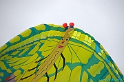 RIMINI 2012 - 084